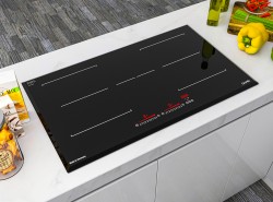 Bếp từ Dann DS-IB929GE